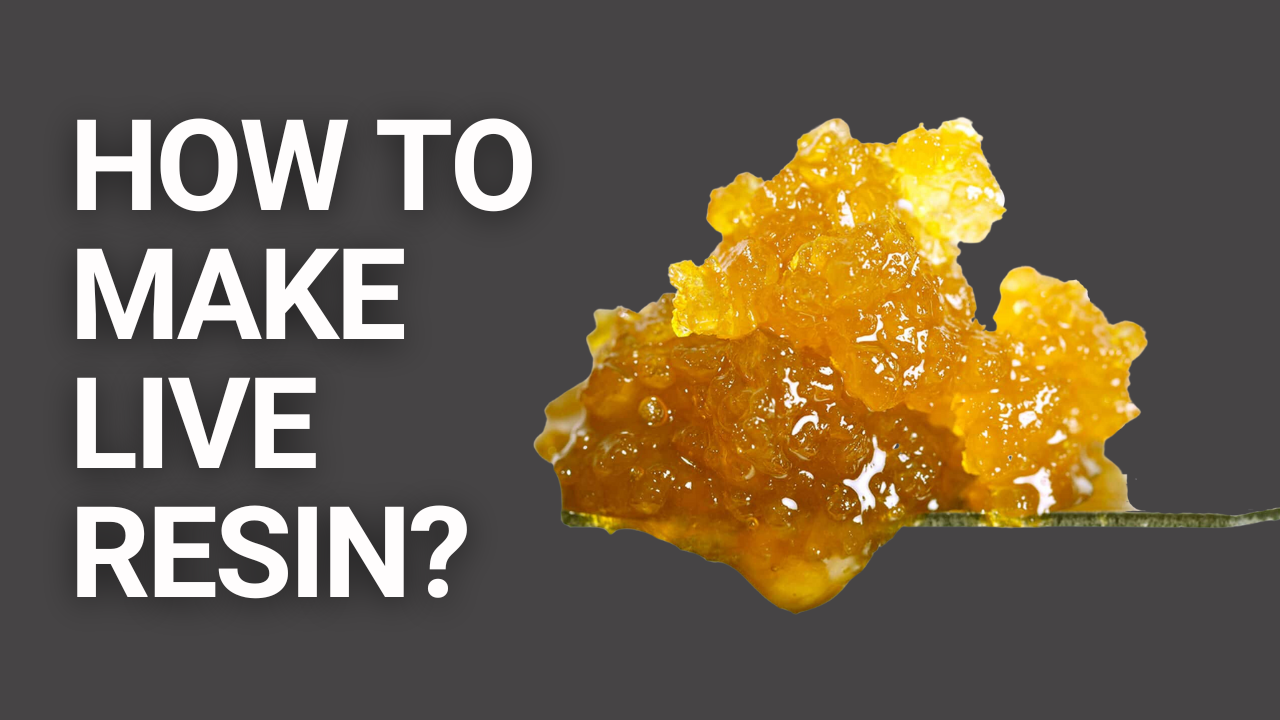How to make live resin, what is live resin, live resin vapes, live resin