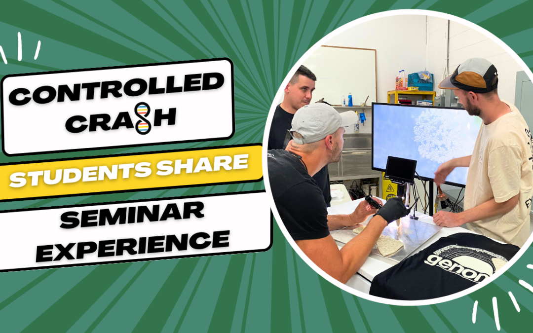 The Controlled Crash Seminar Experience!